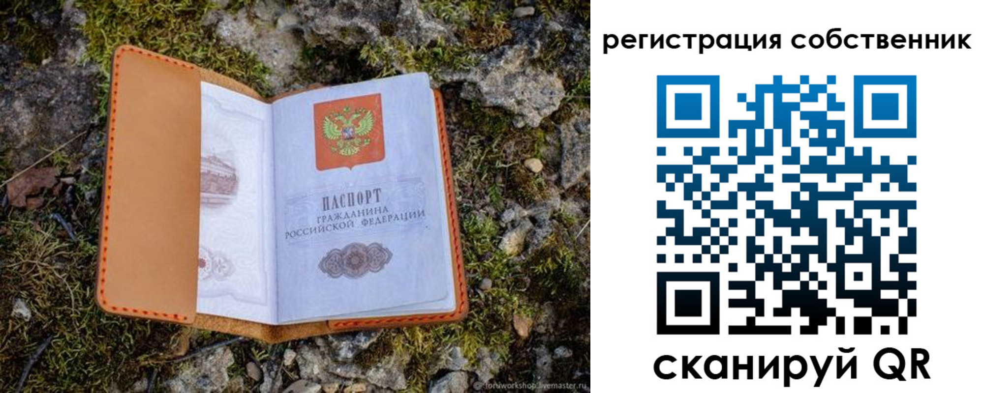 прописка поиск в Купино